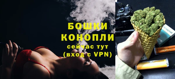шишки Балахна