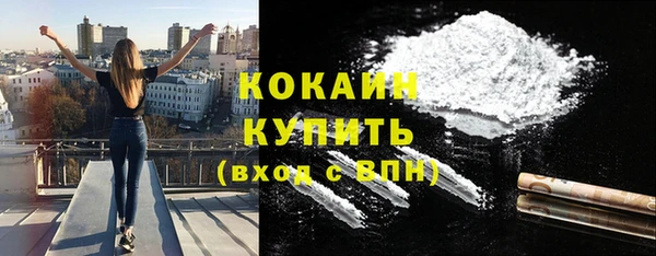 шишки Балахна